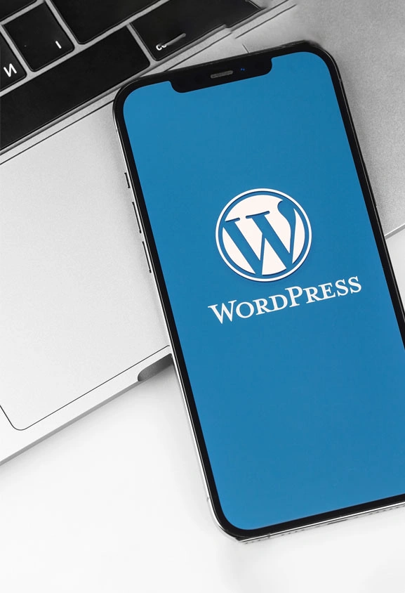 custom web development